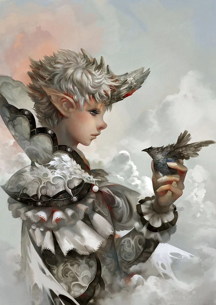 Ельф хлопчик